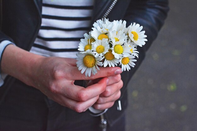 Rumianek na co pomaga na co szkodzi?
