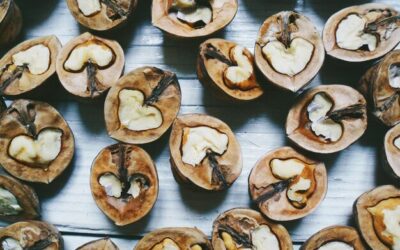 Świeże grzyby shiitake gdzie kupić w swojej okolicy?