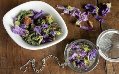 Szałwia jak często pić aby czerpać z niej korzyści?