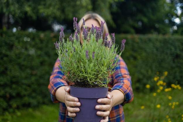 Szałwia kiedy sadzić, aby cieszyć się bujnym wzrostem?