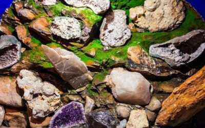 Gdzie występują składniki mineralne w codziennej diecie?