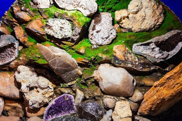 Gdzie występują składniki mineralne w codziennej diecie?