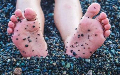 Sole mineralne znaczenie dla organizmu człowieka