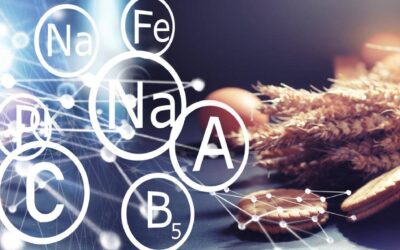 Jakie są składniki mineralne i dlaczego są ważne dla organizmu?