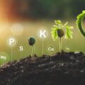 Mikro i makroelementy co to właściwie oznacza dla naszego zdrowia?
