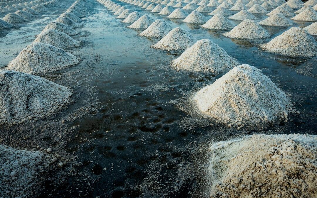 W czym występują sole mineralne w codziennej diecie?