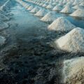 W czym występują sole mineralne w codziennej diecie?