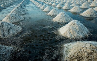 W czym występują sole mineralne w codziennej diecie?