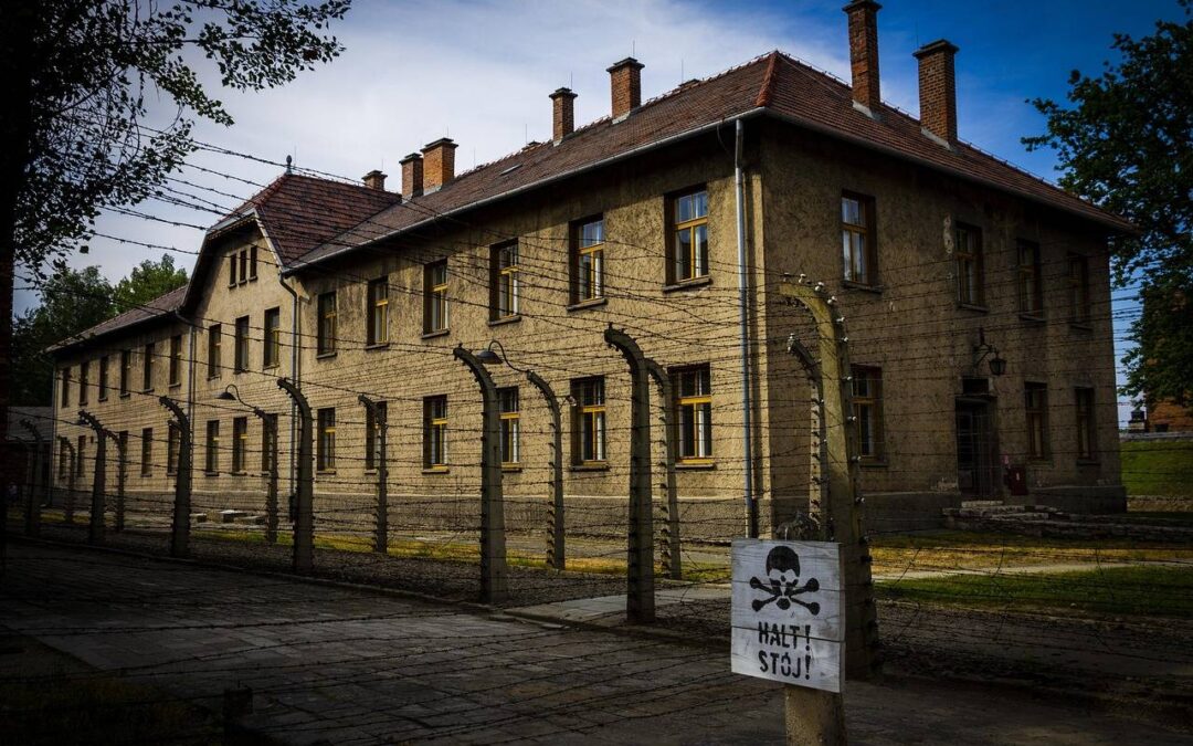 Co na pamięć i koncentrację dla seniora warto wybrać?