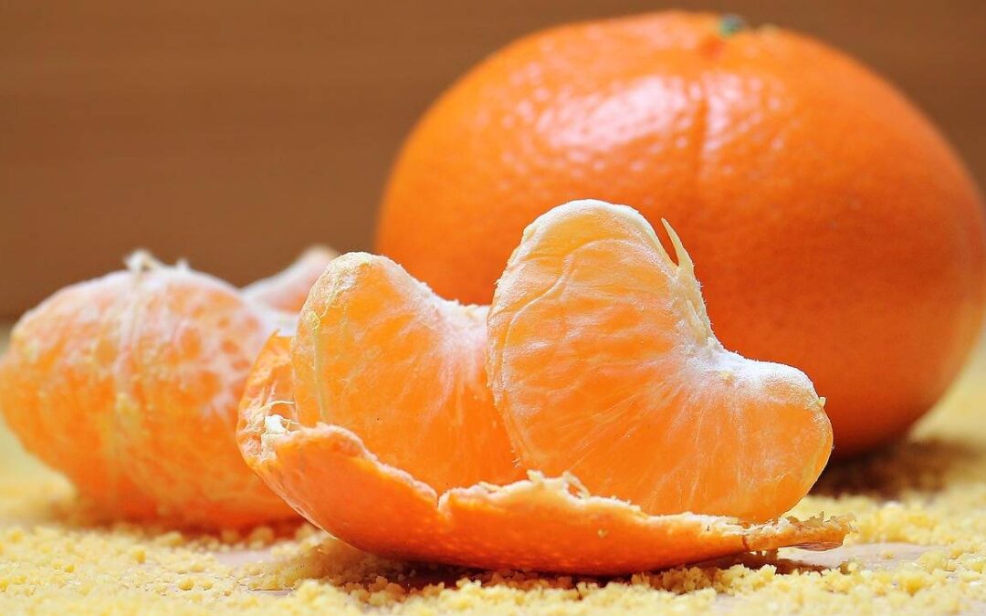 Witamina B co to i dlaczego jest ważna dla organizmu?